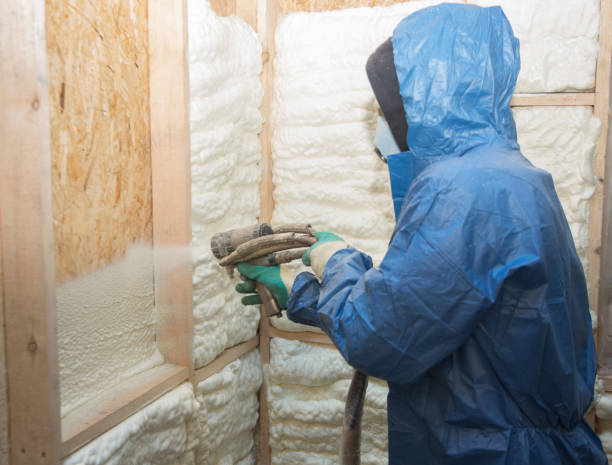 Best Basement Insulation  in Rainbow Lakes Estates, FL